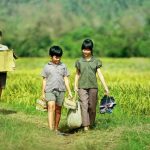 Tận dụng thế mạnh điện ảnh Việt Nam để quảng bá hình ảnh đất nước ra thế giới