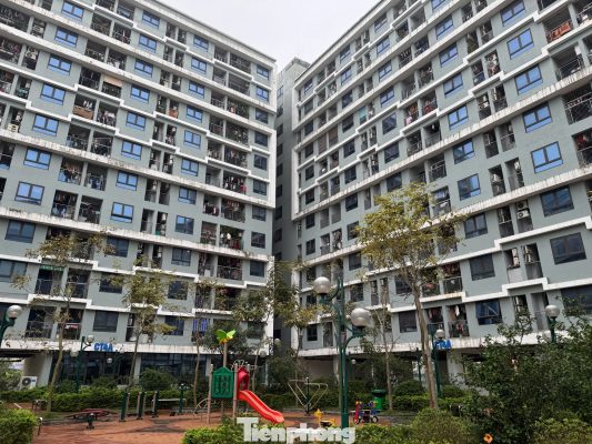 Luật nhà ở 2023