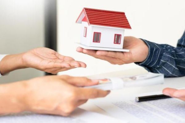 doanh nghiệp có vi phạm