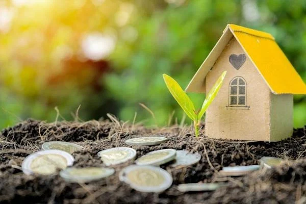 Quy định về đất trồng cây hàng năm