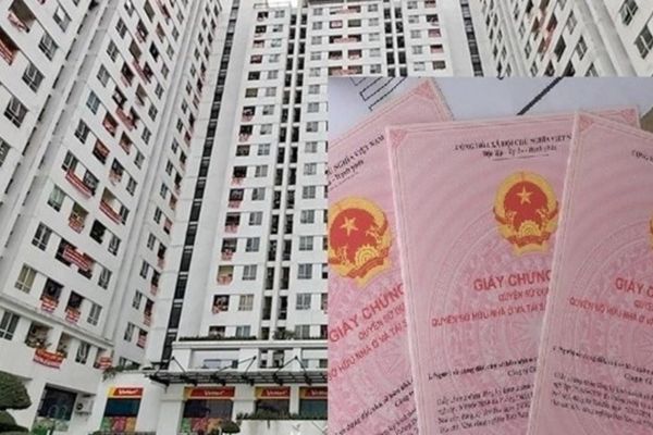 Thủ tục sang tên sổ đỏ khi mua căn hộ chung cư