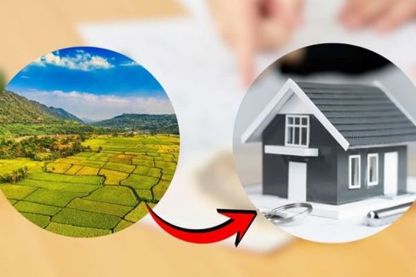 cho thuê đất có tài sản